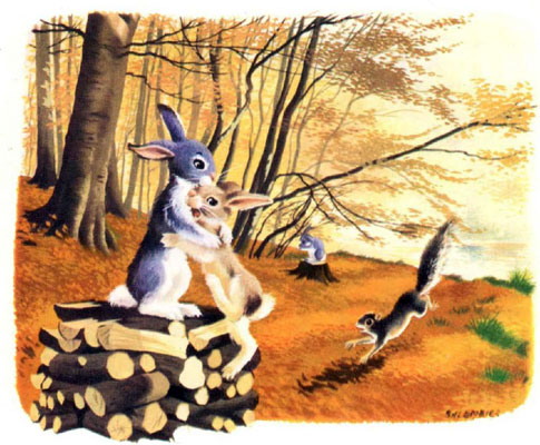 قصه کودکانه «سنجاب بازیگوش»-داستانهای مصور رنگی برای کودکان-ارشیو قصه و داستان ایپابفا